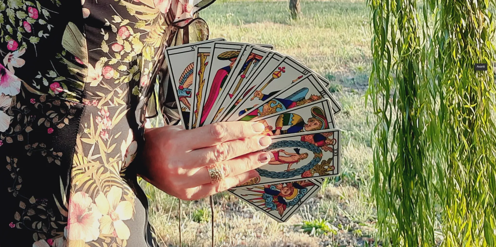 Mano che tiene a ventaglio le carte dei Tarocchi di Marsiglia