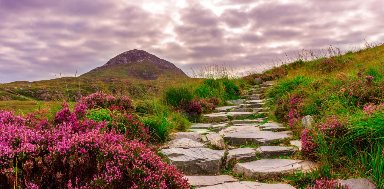 Perché continui ad avere lo stesso tipo di relazione?